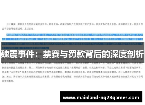魏震事件：禁赛与罚款背后的深度剖析