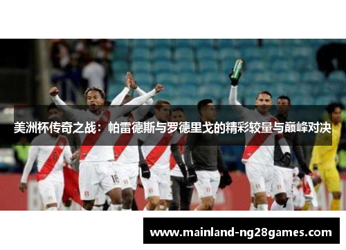 美洲杯传奇之战：帕雷德斯与罗德里戈的精彩较量与巅峰对决