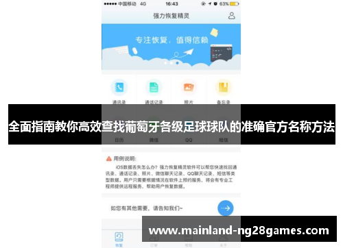 全面指南教你高效查找葡萄牙各级足球球队的准确官方名称方法