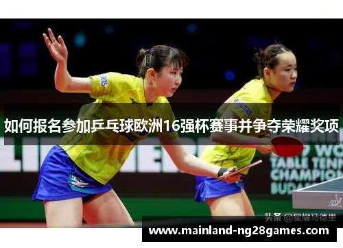 如何报名参加乒乓球欧洲16强杯赛事并争夺荣耀奖项