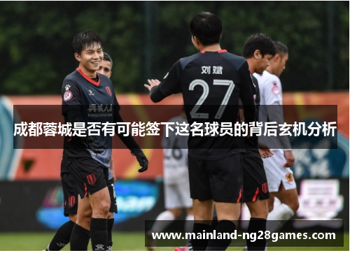 成都蓉城是否有可能签下这名球员的背后玄机分析