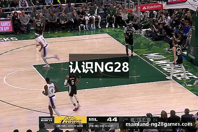 认识NG28